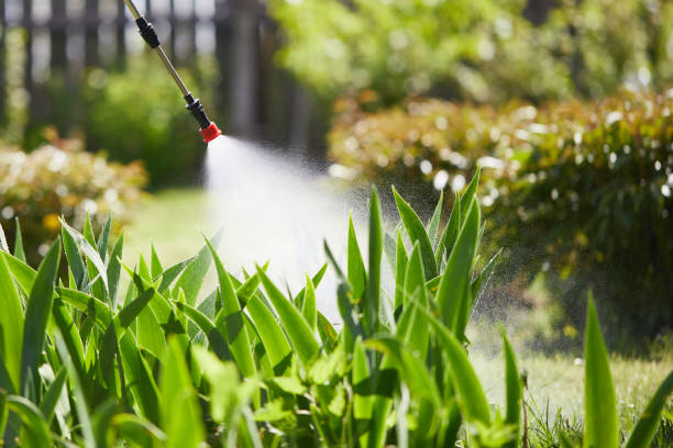 24/7 Emergency Ant Control experts in Wellington, FL